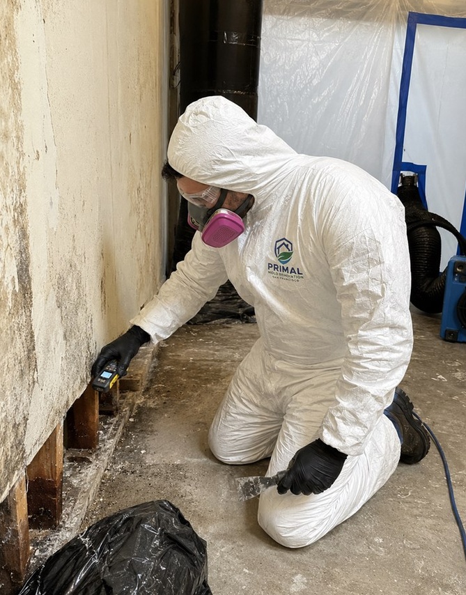 Primal Mold Remediation technician in a branded protective suit and respirator using a moisture meter on a mold-affected wall inside a sealed containment zone